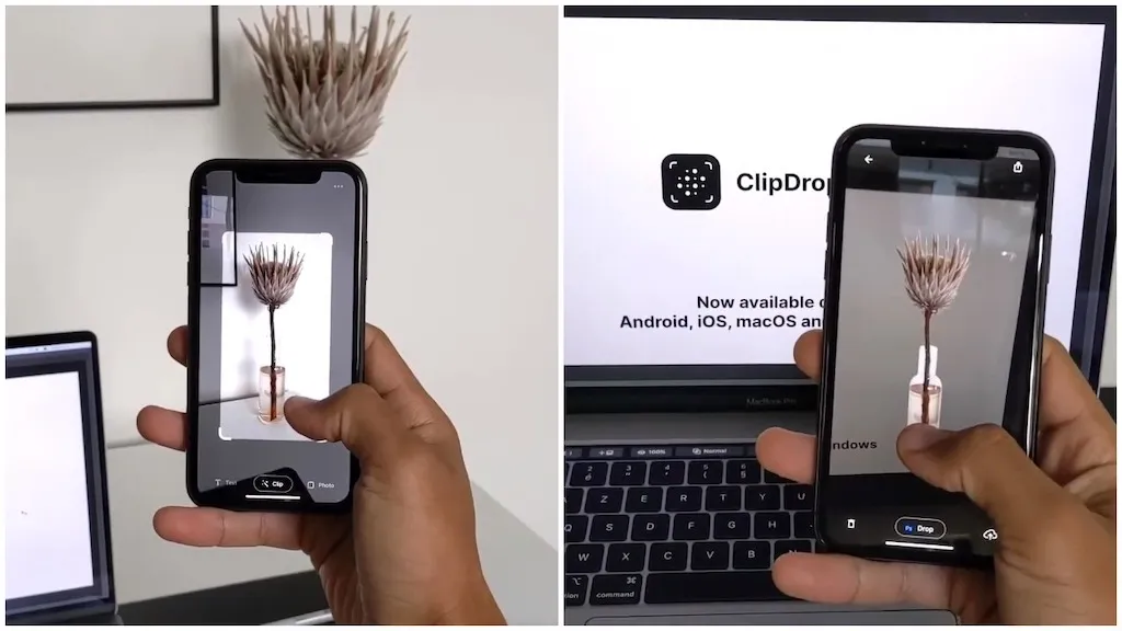 Remova o Fundo da Imagem com clipdrop